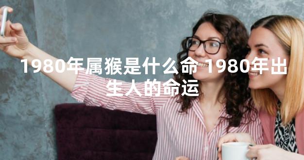 1980年属猴是什么命 1980年出生人的命运